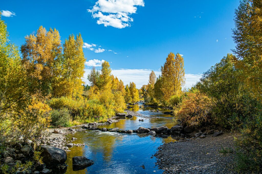 Fall in Colorado